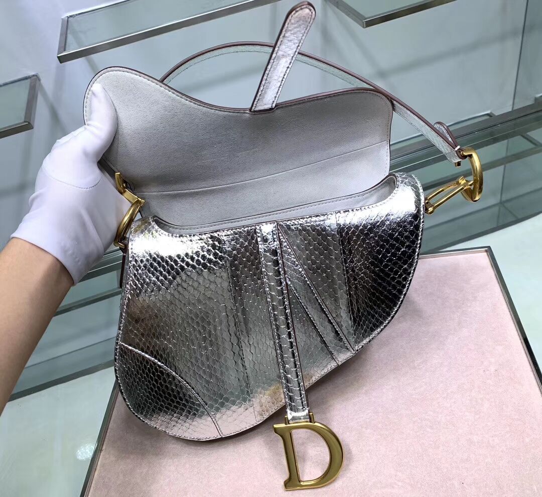 Dior SADDLE Snake skin tote C9046 silver