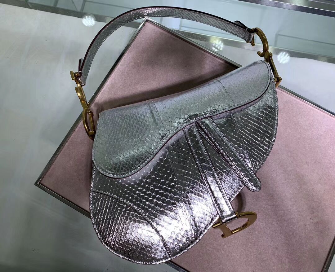 Dior SADDLE Snake skin tote C9046 silver