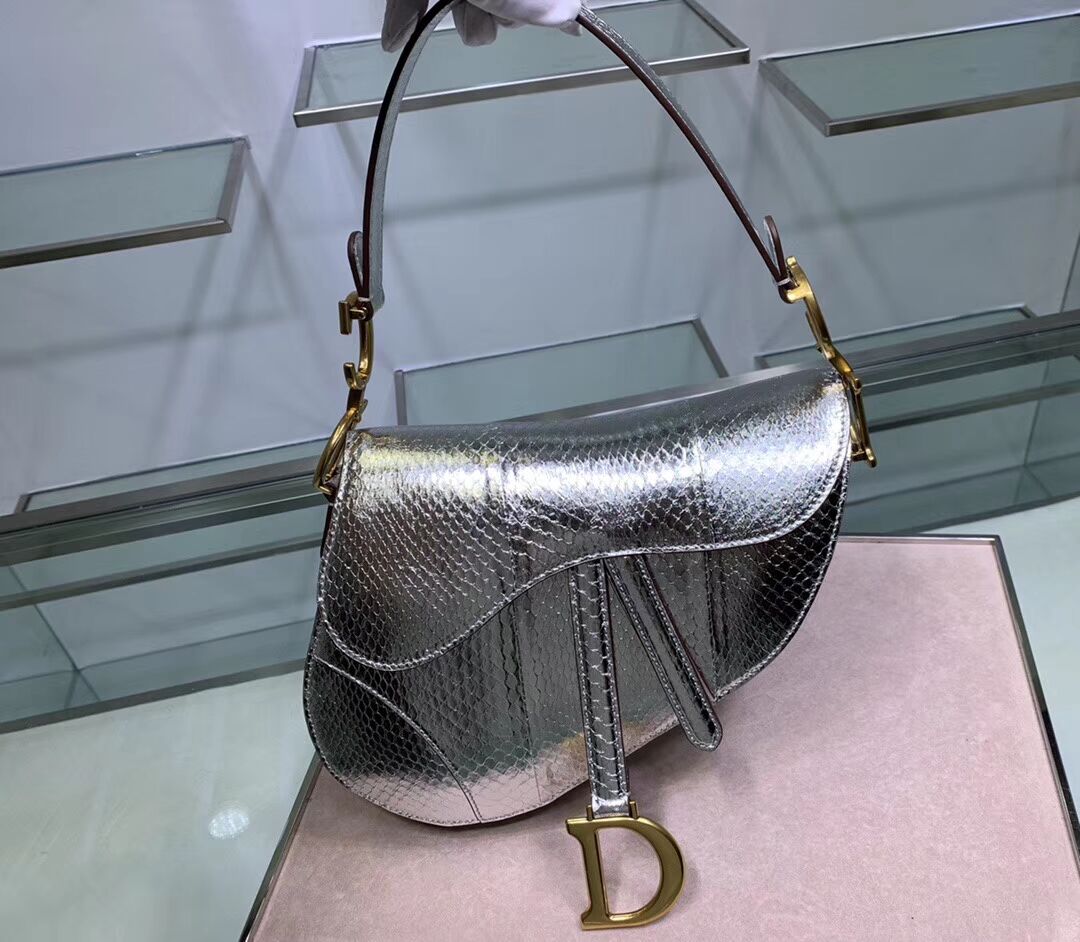 Dior SADDLE Snake skin tote C9046 silver