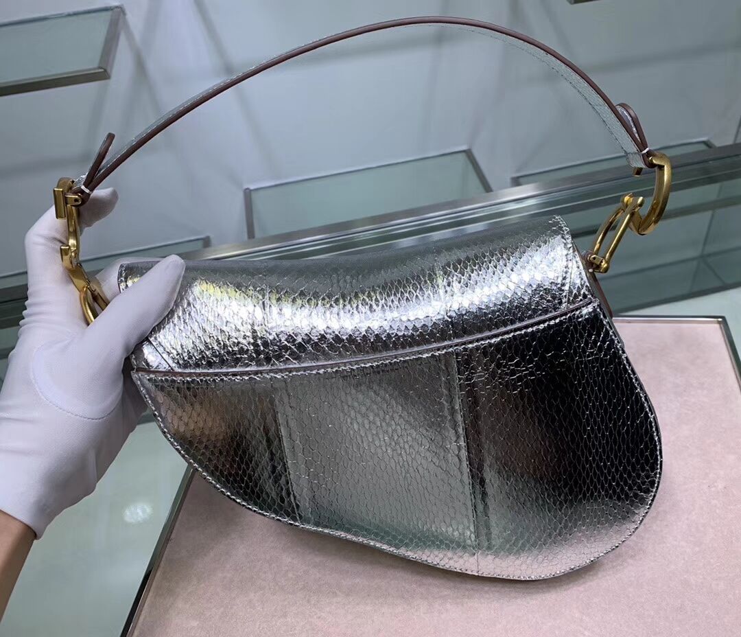 Dior SADDLE Snake skin tote C9046 silver