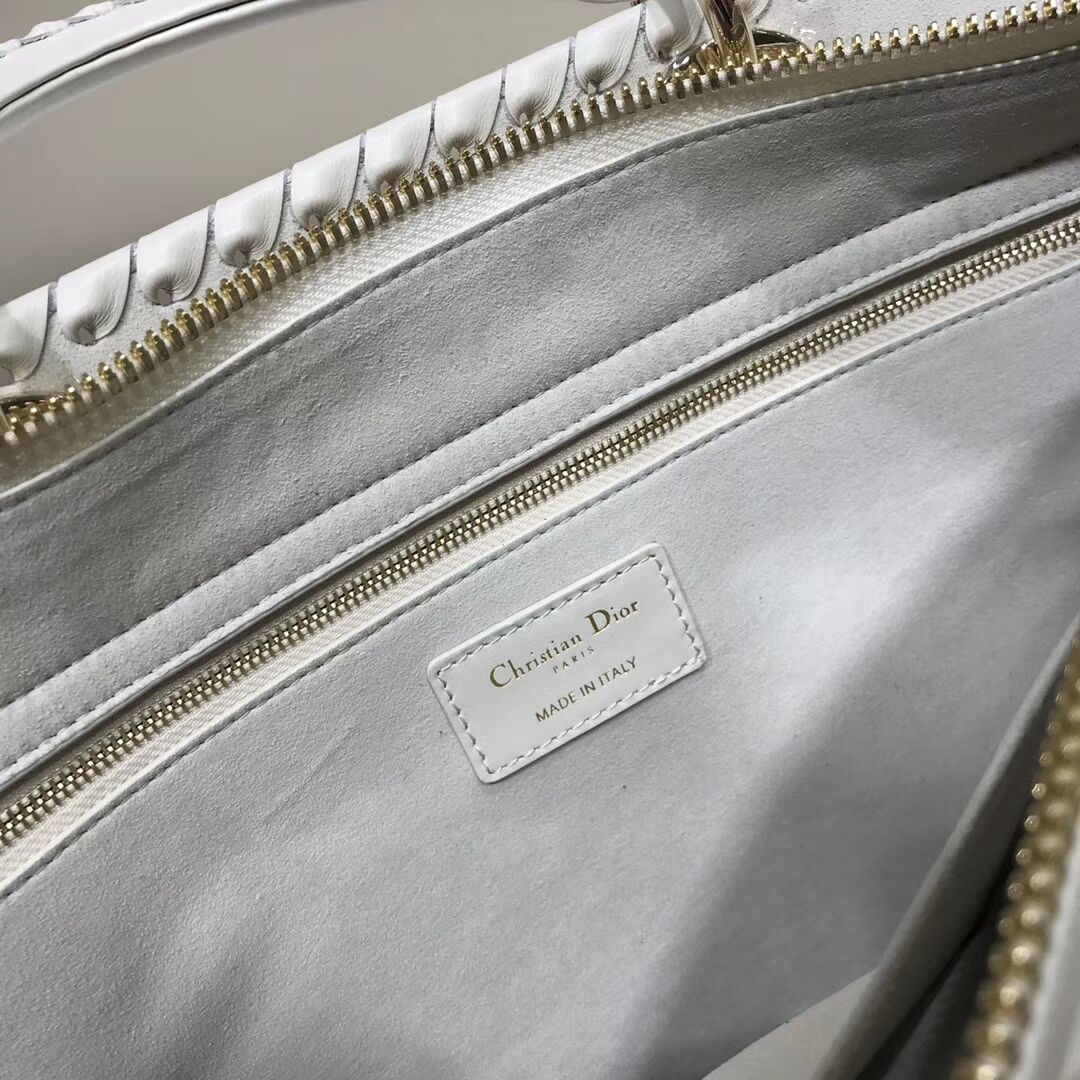 Dior SOFT CALFSKIN BAG C9255 white