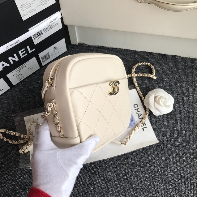 Chanel Original Calfskin Leather Camera Case AS0137 White