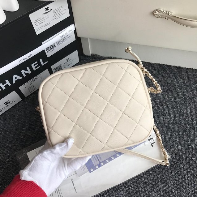 Chanel Original Calfskin Leather Camera Case AS0137 White