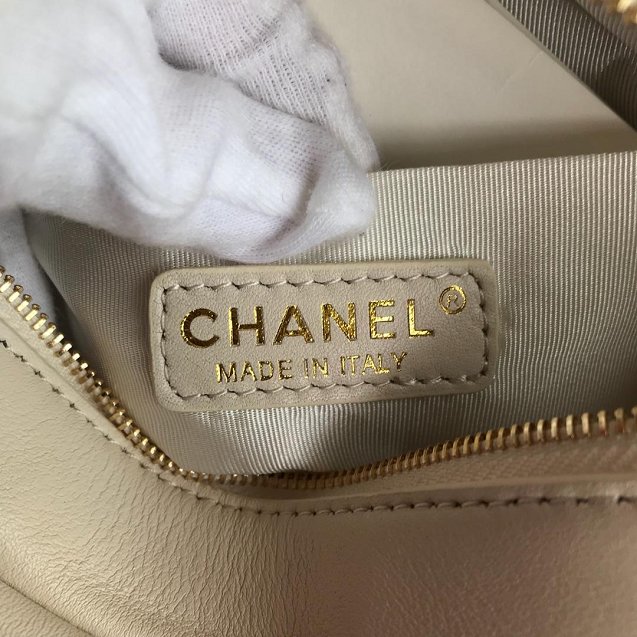 Chanel Original Calfskin Leather Camera Case AS0137 White