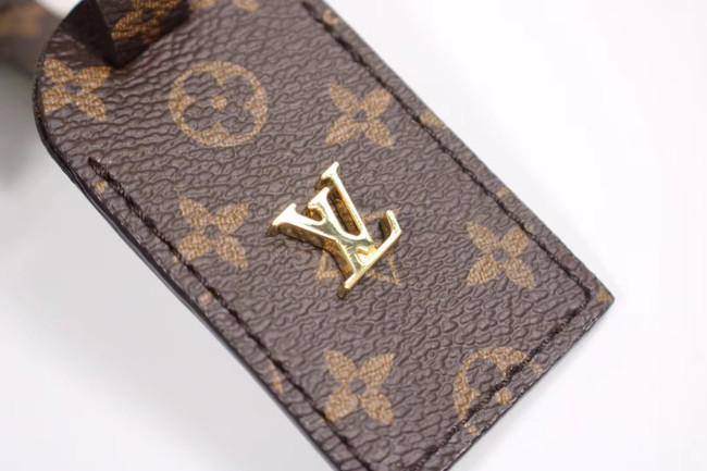 Louis Vuitton BOURSICOT EW M56369