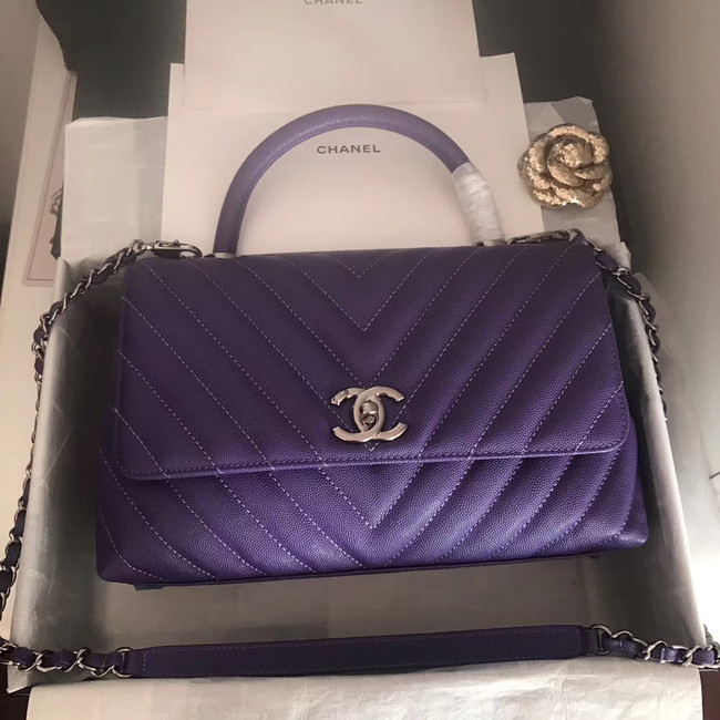 Chanel Flap Bag with Top Handle A92991 dark purple & silver-Tone Metal