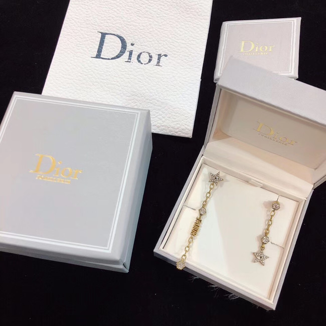 Dior Earrings CE4781