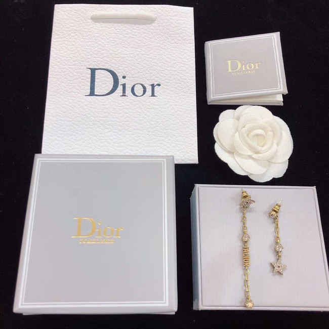 Dior Earrings CE4781