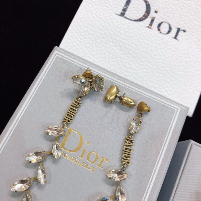 Dior Earrings CE4782