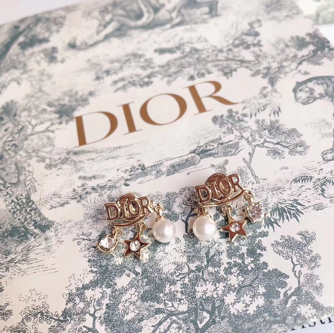 Dior Earrings CE4785