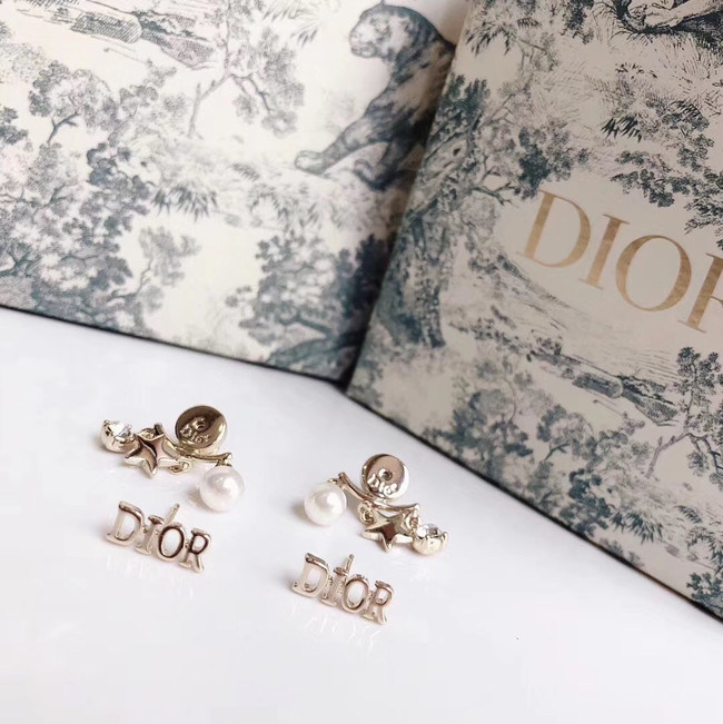 Dior Earrings CE4785