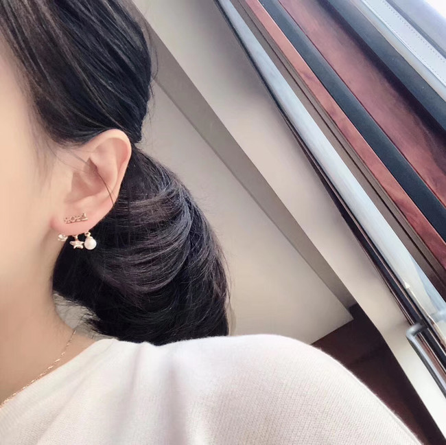 Dior Earrings CE4785