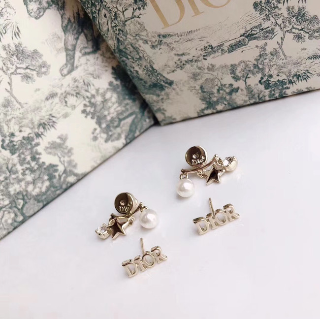 Dior Earrings CE4785