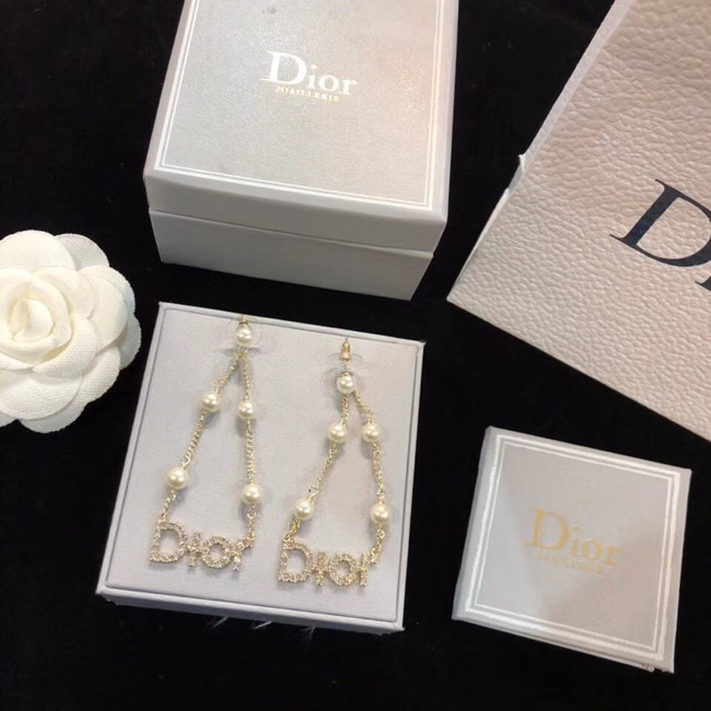 Dior Earrings CE4797