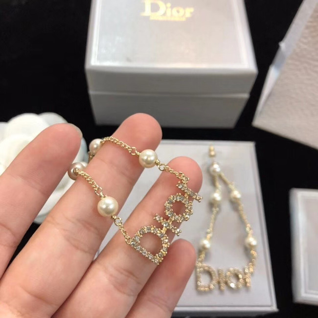 Dior Earrings CE4797