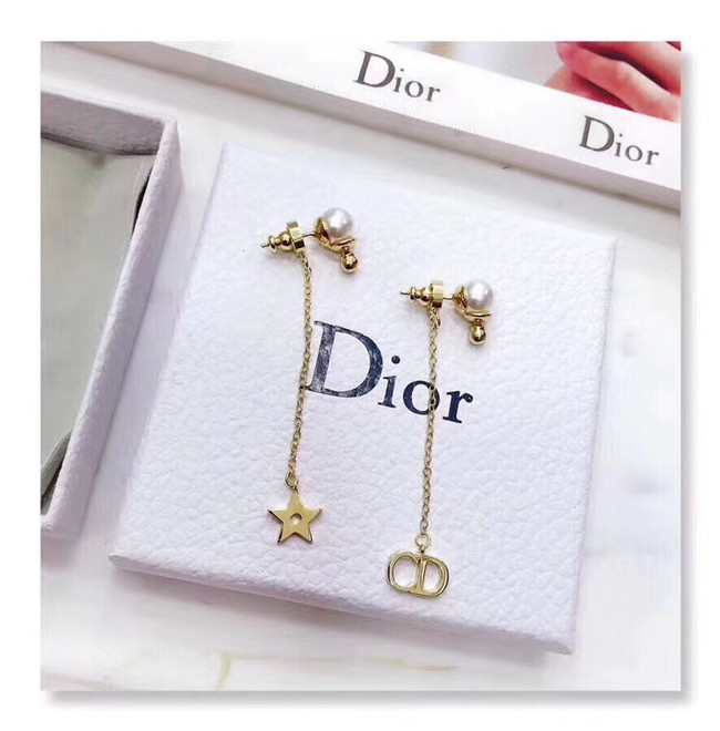 Dior Earrings CE4801
