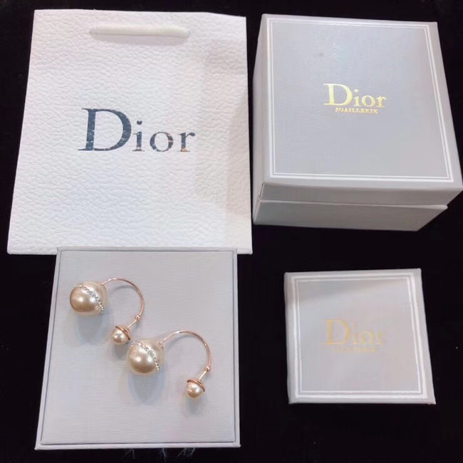 Dior Earrings CE4802