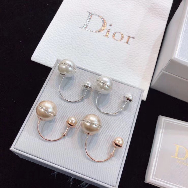 Dior Earrings CE4802