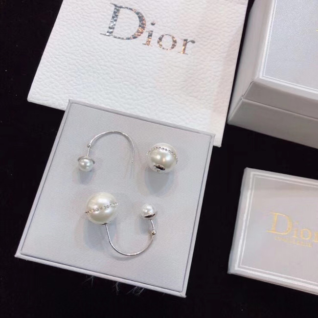 Dior Earrings CE4802