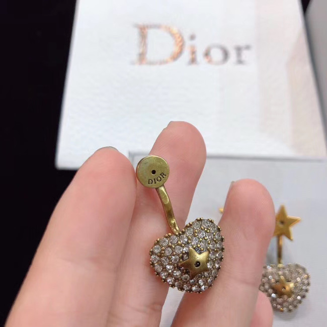 Dior Earrings CE4804