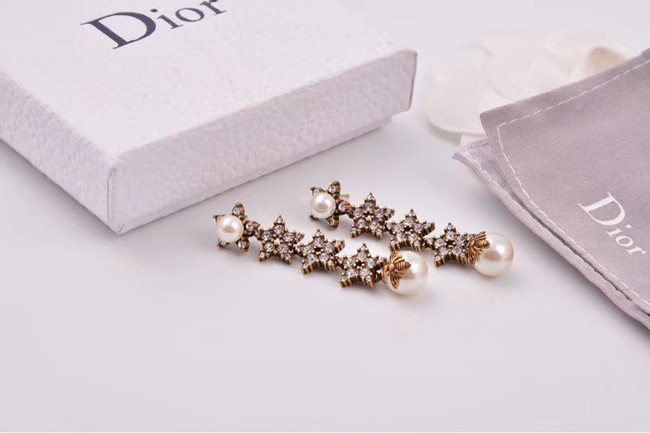 Dior Earrings CE4806