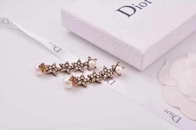 Dior Earrings CE4806