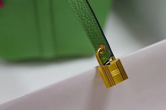 Hermes Picotin Lock PM Bags Togo Leather H5599 green