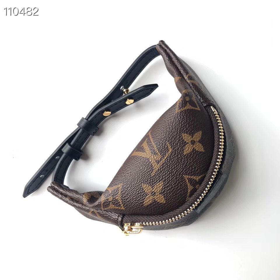 Louis Vuitton Monogram Canvas Mini Bag M43648