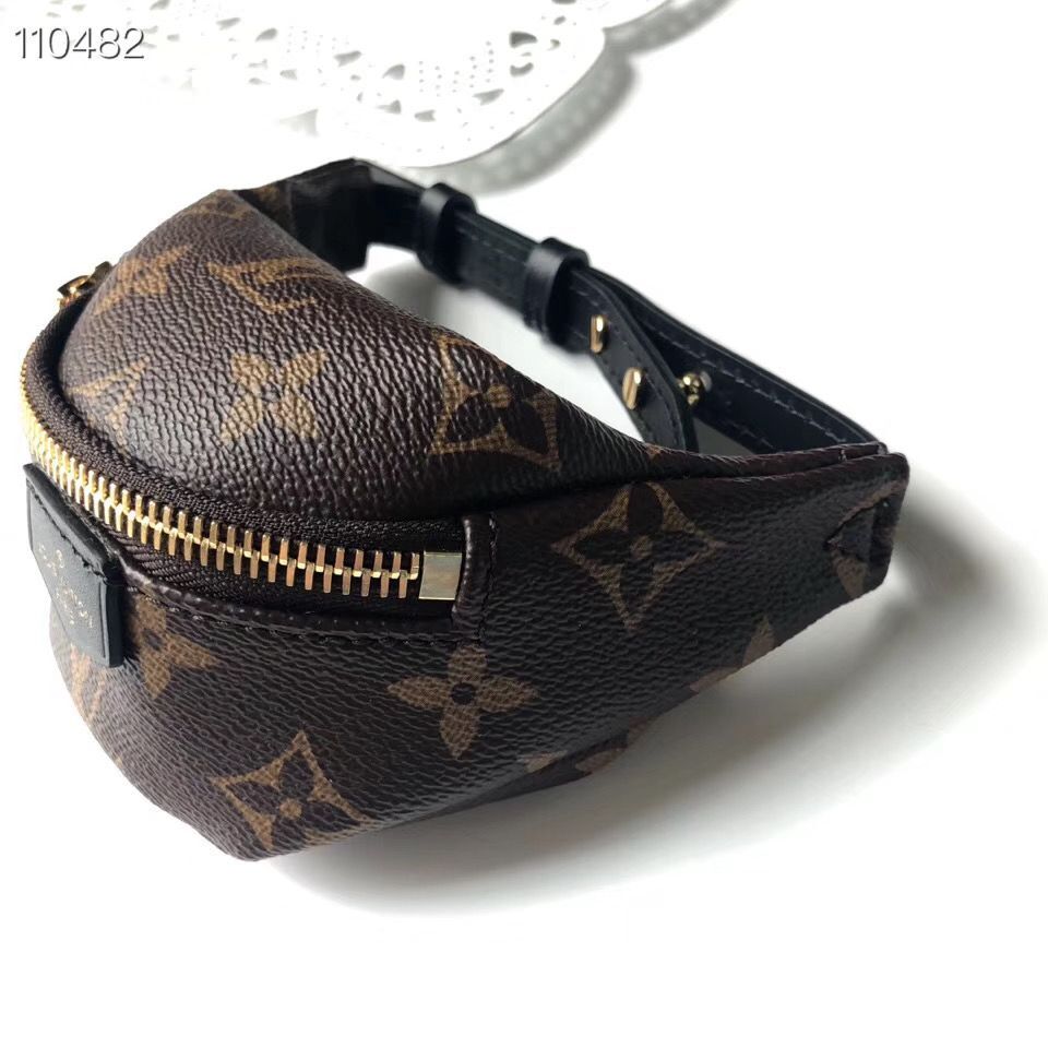 Louis Vuitton Monogram Canvas Mini Bag M43648