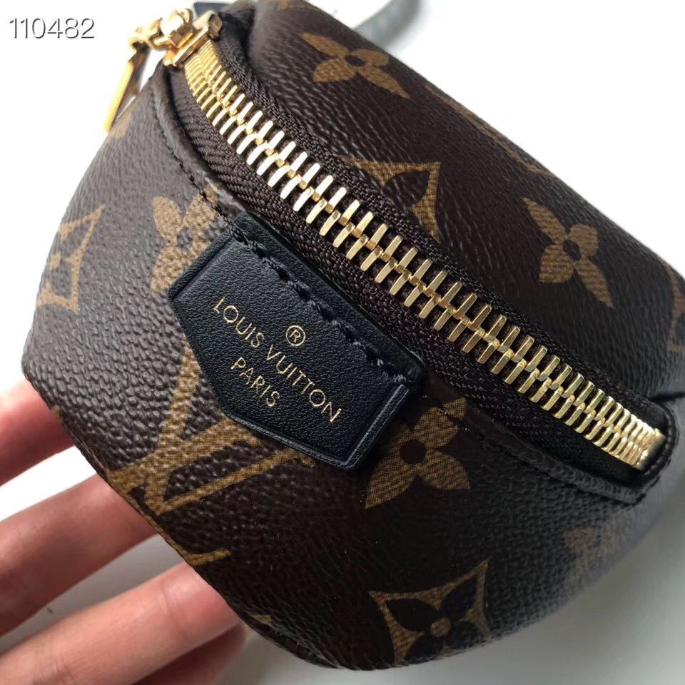 Louis Vuitton Monogram Canvas Mini Bag M43648