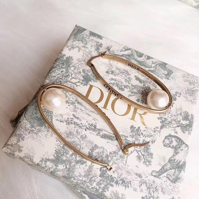 Dior Earrings CE4900