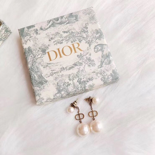 Dior Earrings CE4888