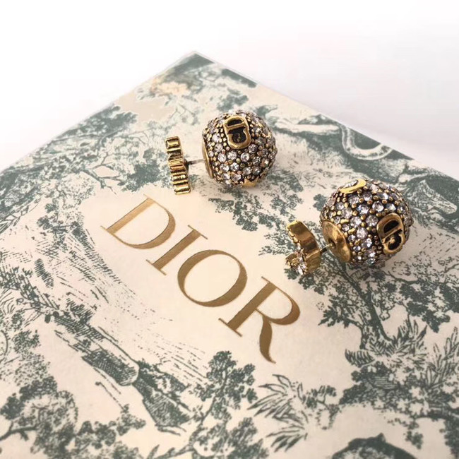 Dior Earrings CE4889