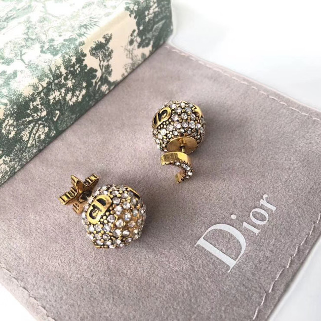 Dior Earrings CE4889