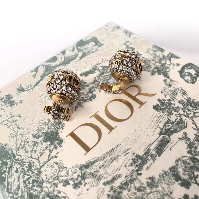 Dior Earrings CE4889