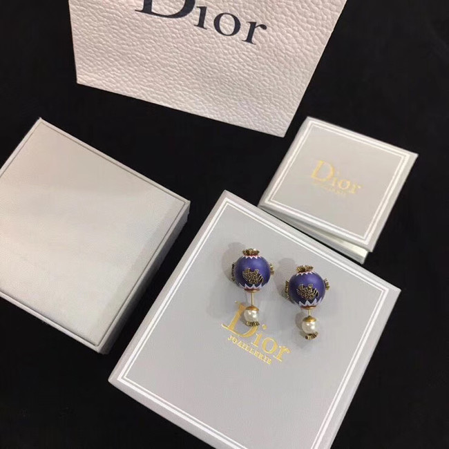 Dior Earrings CE4894