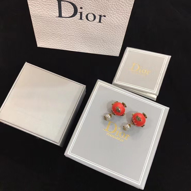 Dior Earrings CE4895