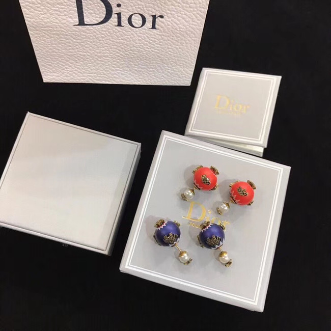 Dior Earrings CE4895