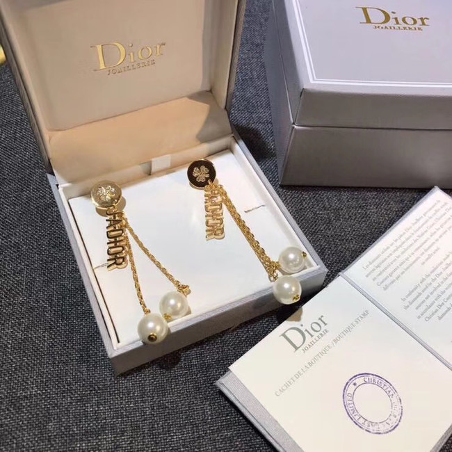 Dior Earrings CE4909