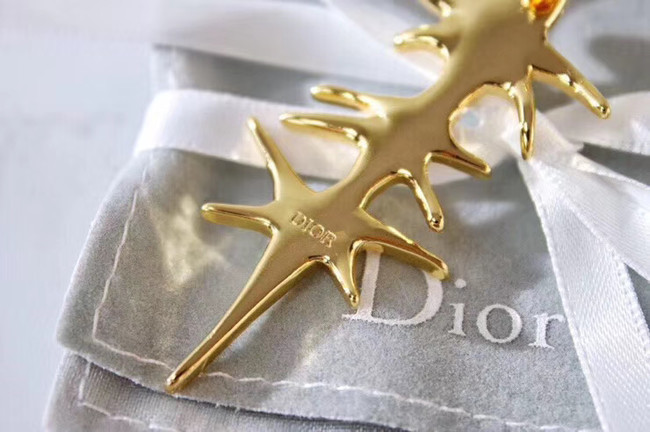 Dior Earrings CE4912