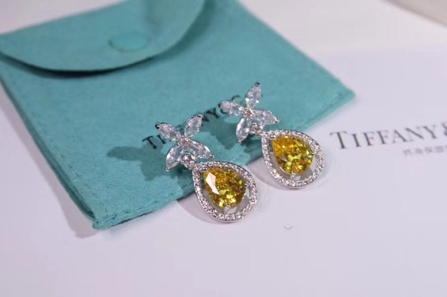 TIFFANY Earrings CE4911