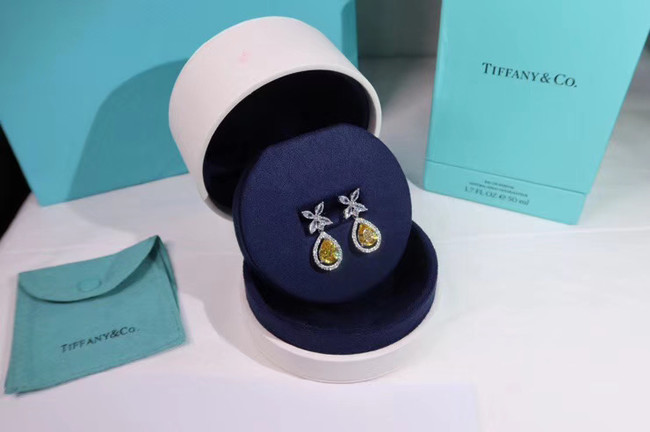 TIFFANY Earrings CE4911