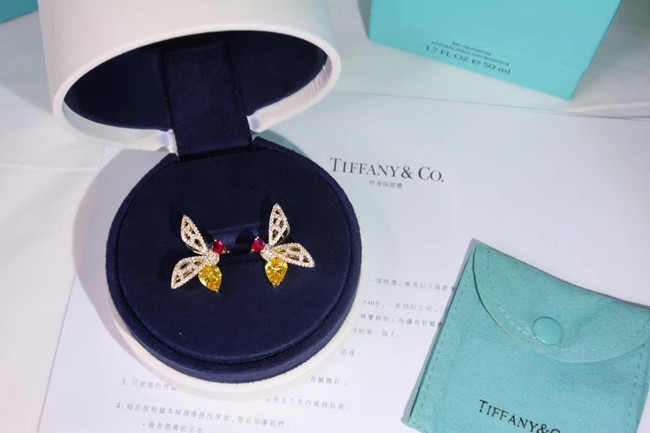 TIFFANY Earrings CE4921