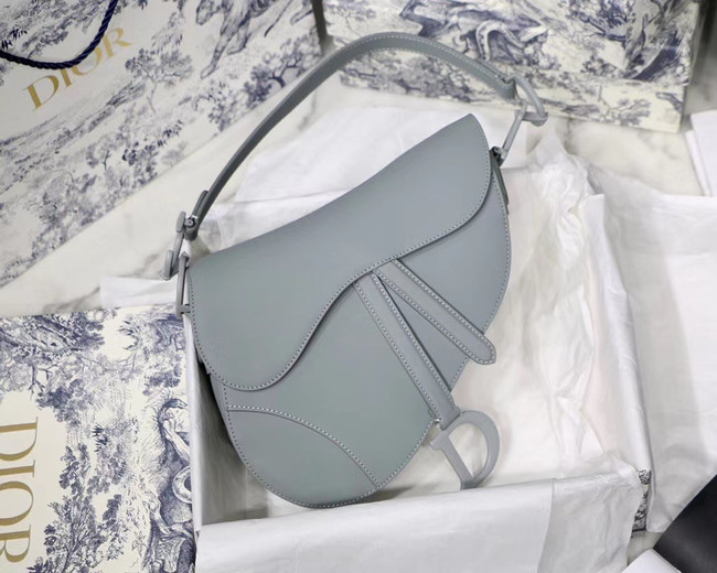 DIOR GRAY STONE SADDLE MATTE CALFSKIN BAG M0446I