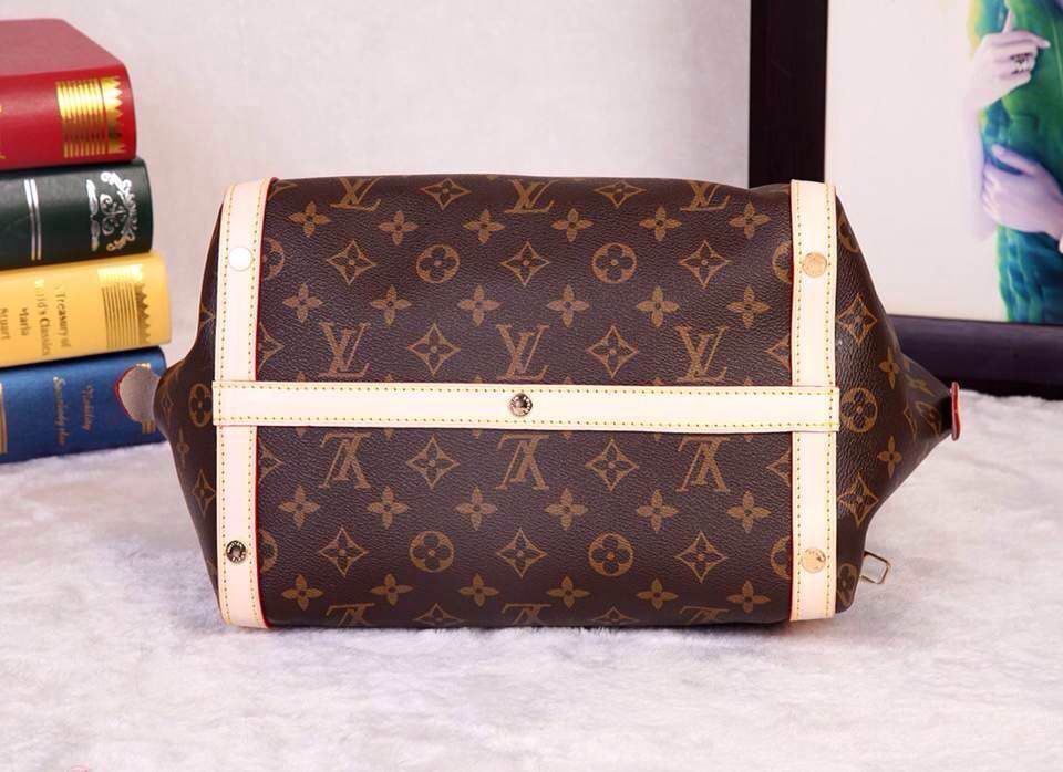 Louis Vuitton Monogram Canvas Marais BB Original Leather M41070 M41071