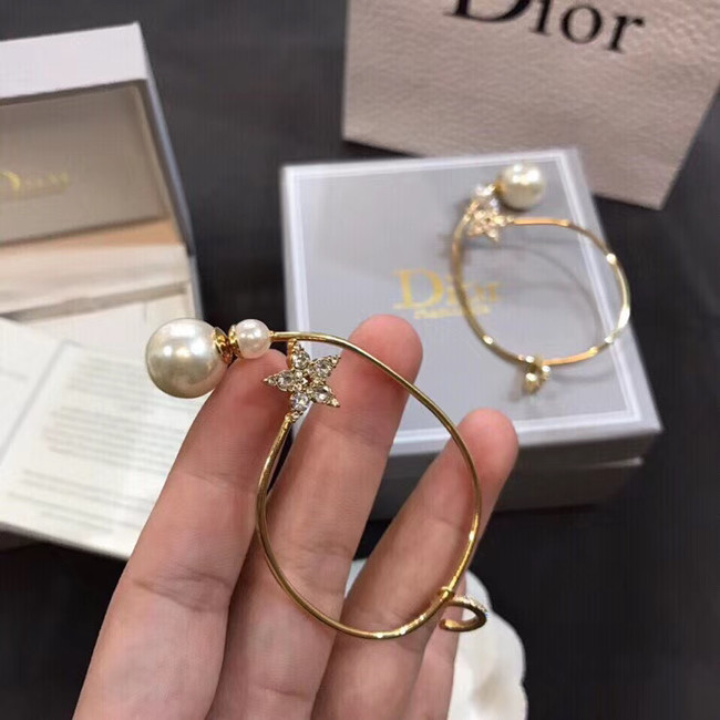 Dior Earrings CE5012
