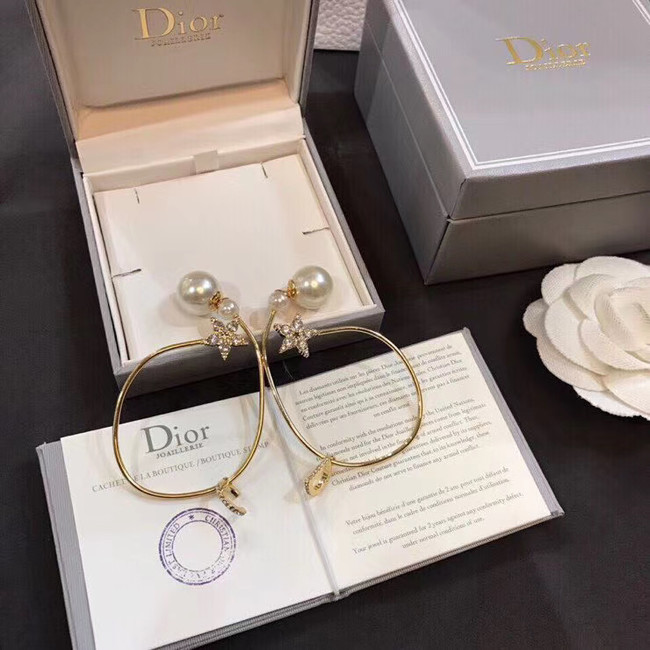 Dior Earrings CE5012