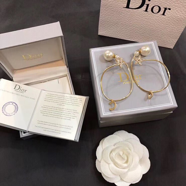 Dior Earrings CE5012