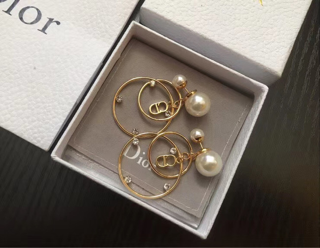 Dior Earrings CE5013