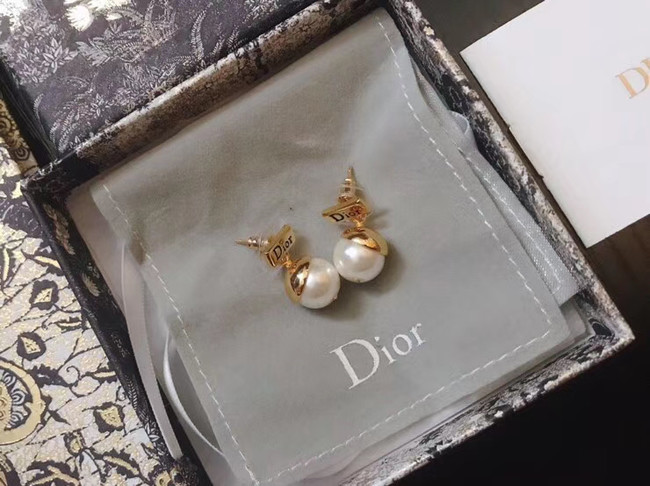 Dior Earrings CE5018